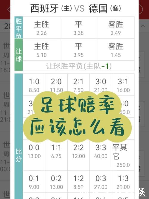 世界杯投注赔率计算与分析技巧